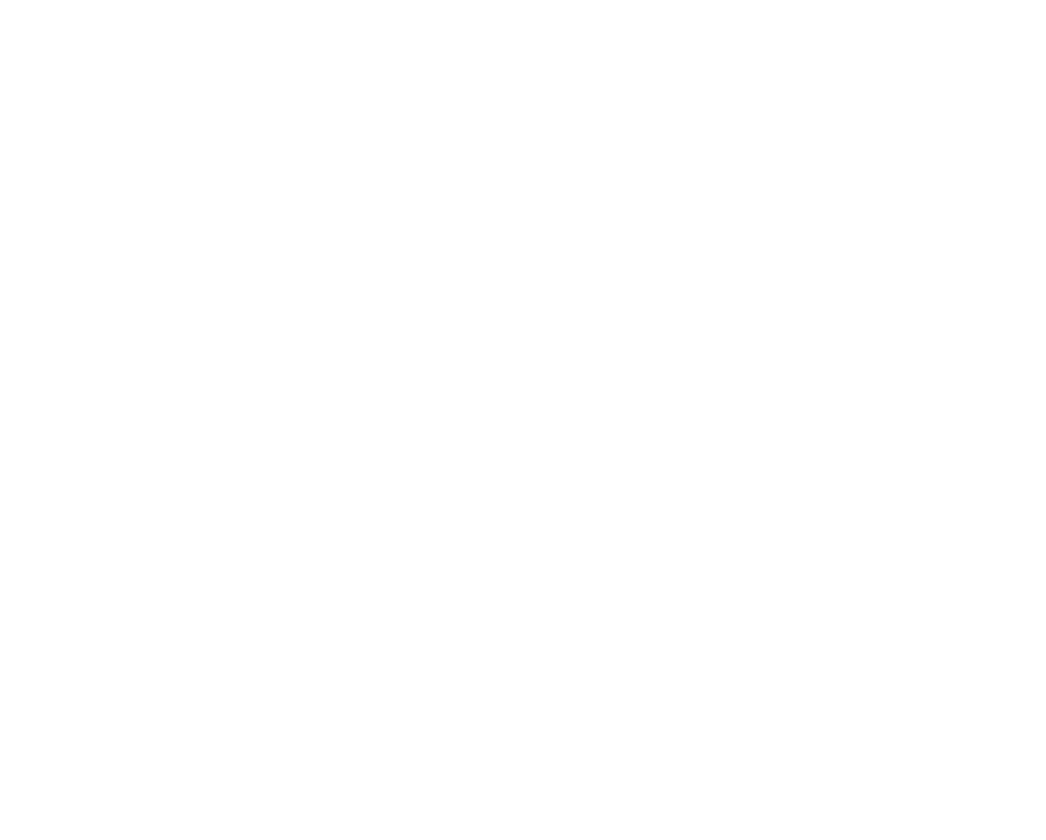 Spitzenstadt Plauen